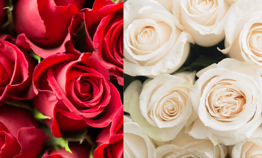 Bouquet of Love